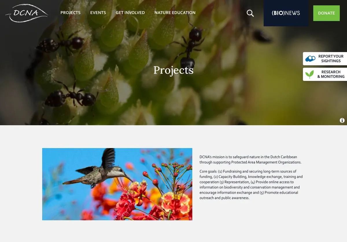 dcna projects screenshot