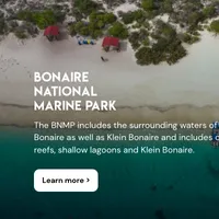 screenshot of StinapaBonaire.org